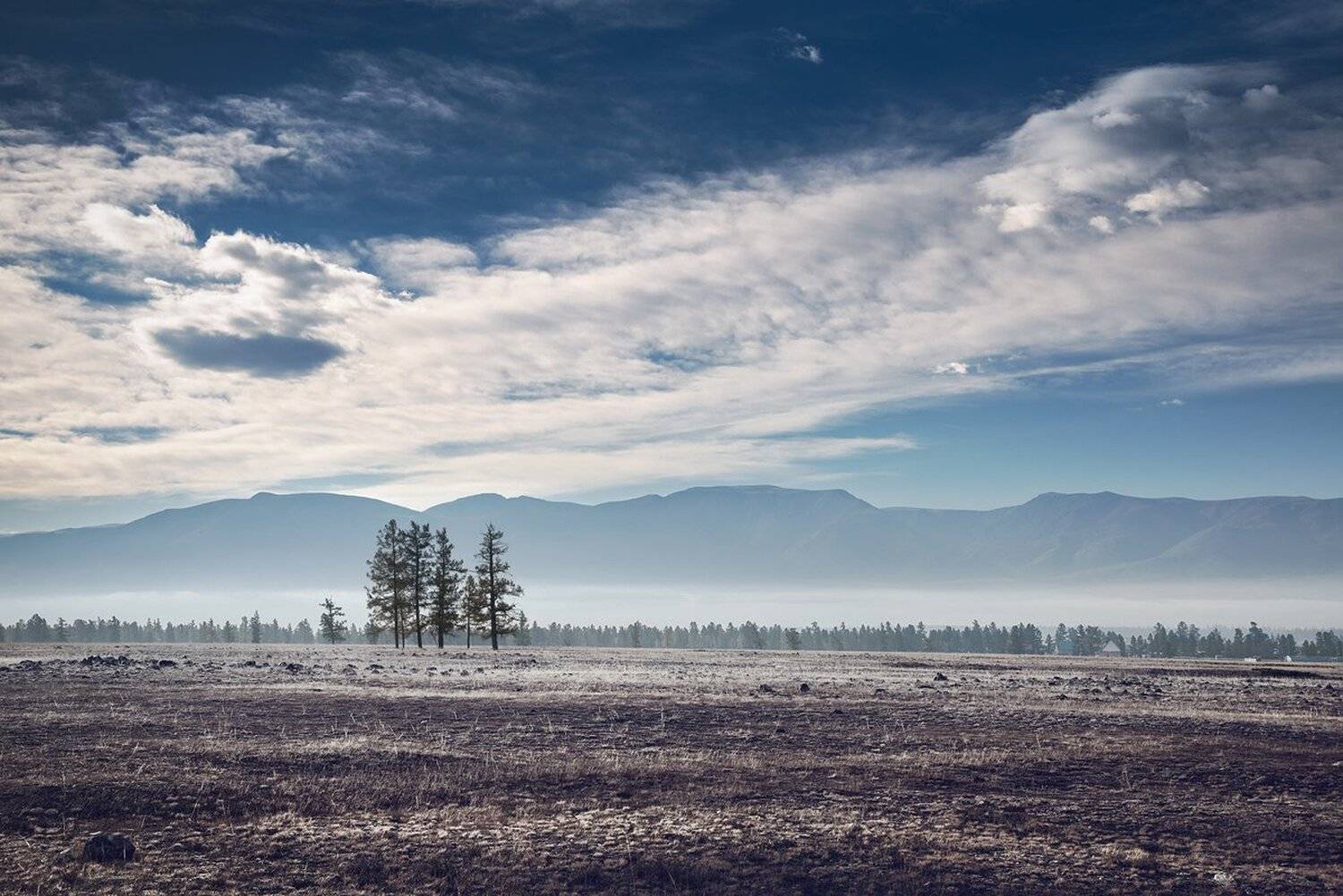 Алтай, Большой, Высокий, Горы, Дерево, Иней, Красивая, Курай, Небо, Облака, Одинокий, Пейзаж, Природа, Сибирь, Синий, Степь, Туман, Утро, Холод, Широкая, Дмитрий Антипов