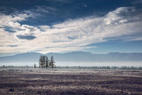 Холодное утро
