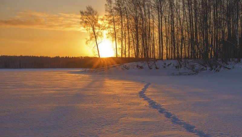 Зимнее солнце. фото превью