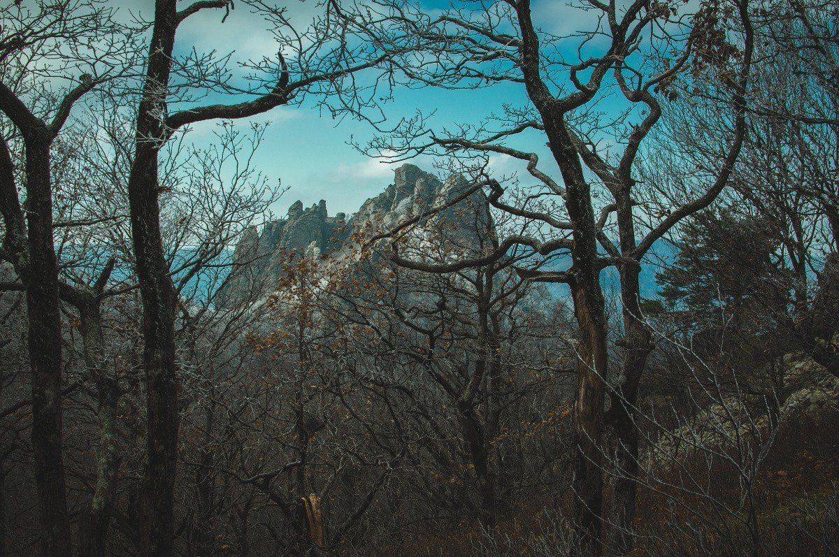 , Евгений Соколов