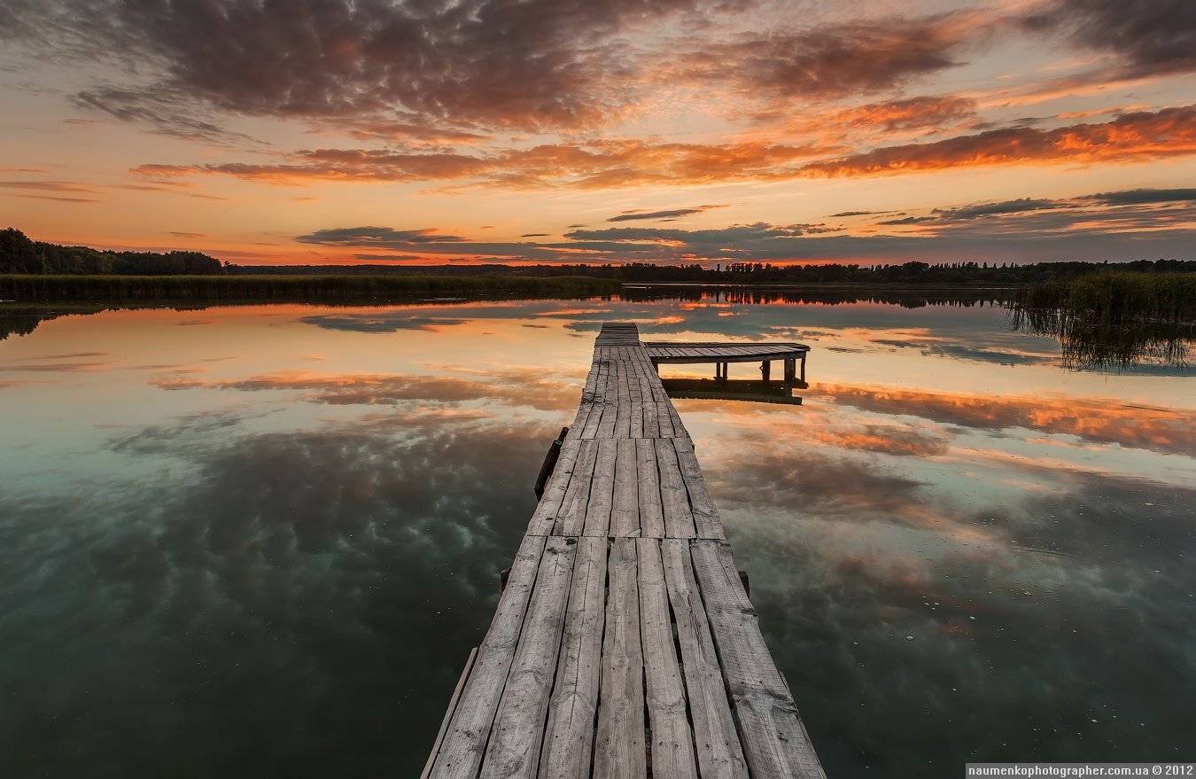 , Александр Науменко