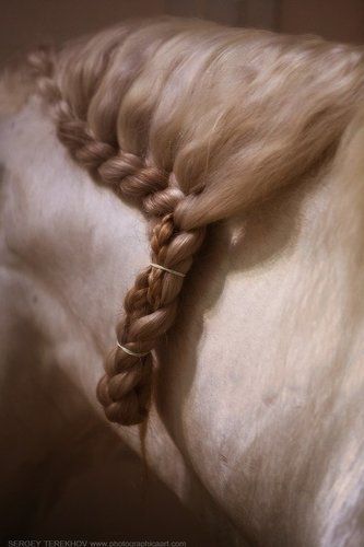 Cavalia