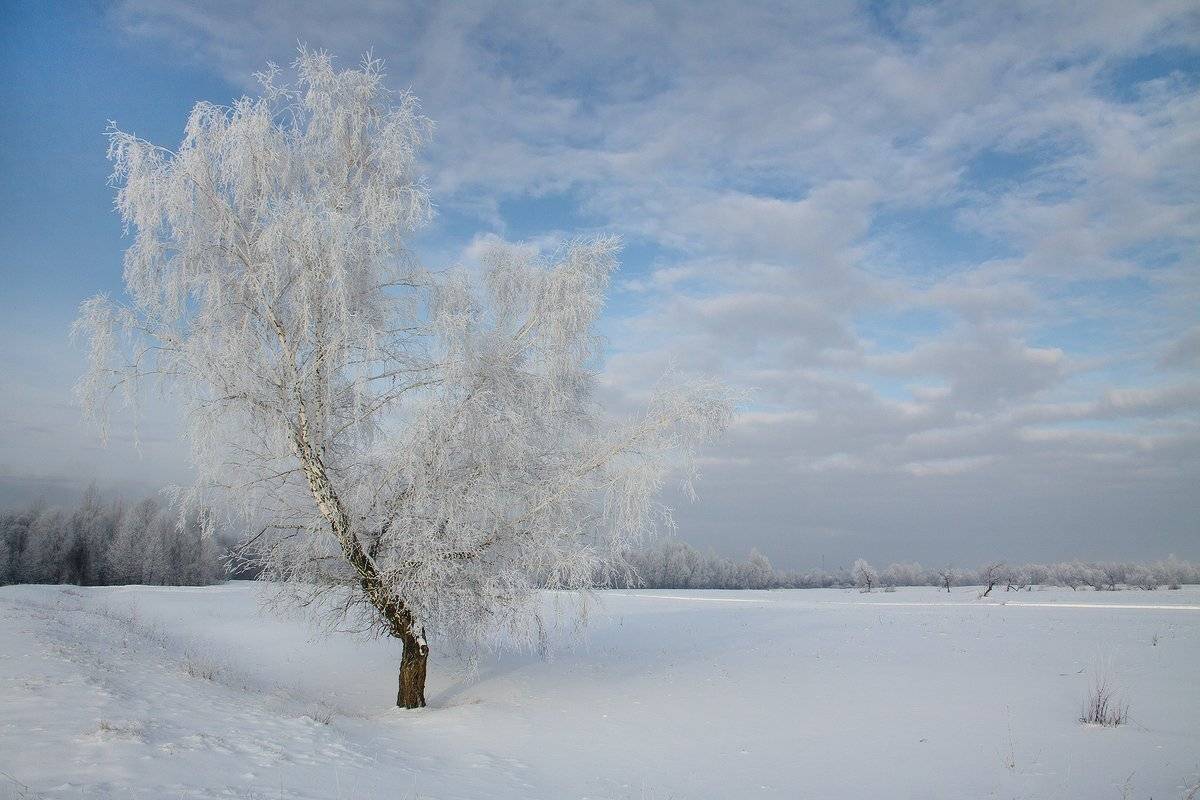 , Николай Морский