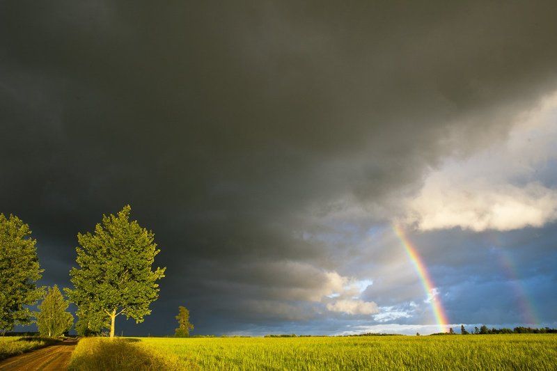 После дождя фото превью