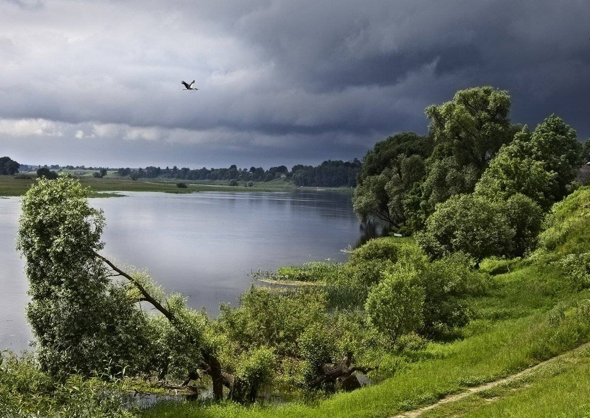 , Валерий Кондратов