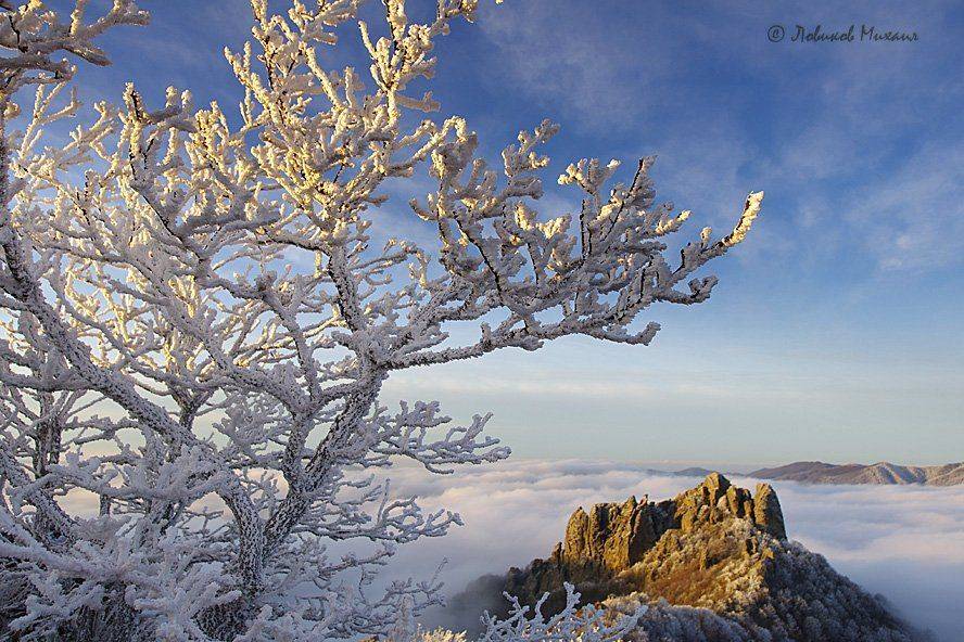 , Ловиков Михаил