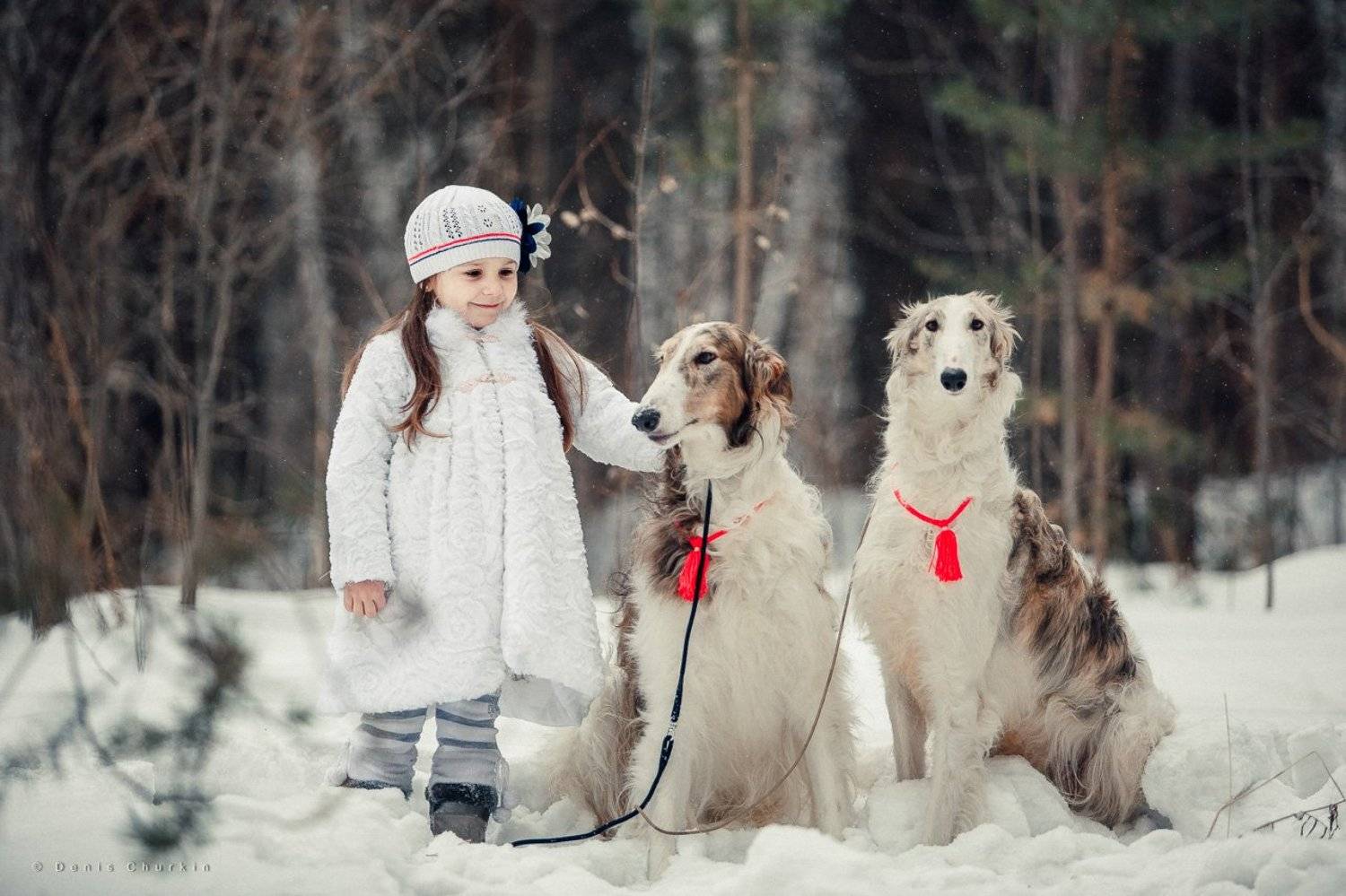 , Денис Чуркин