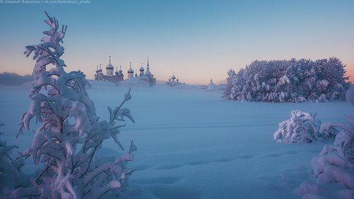 Морозным утром