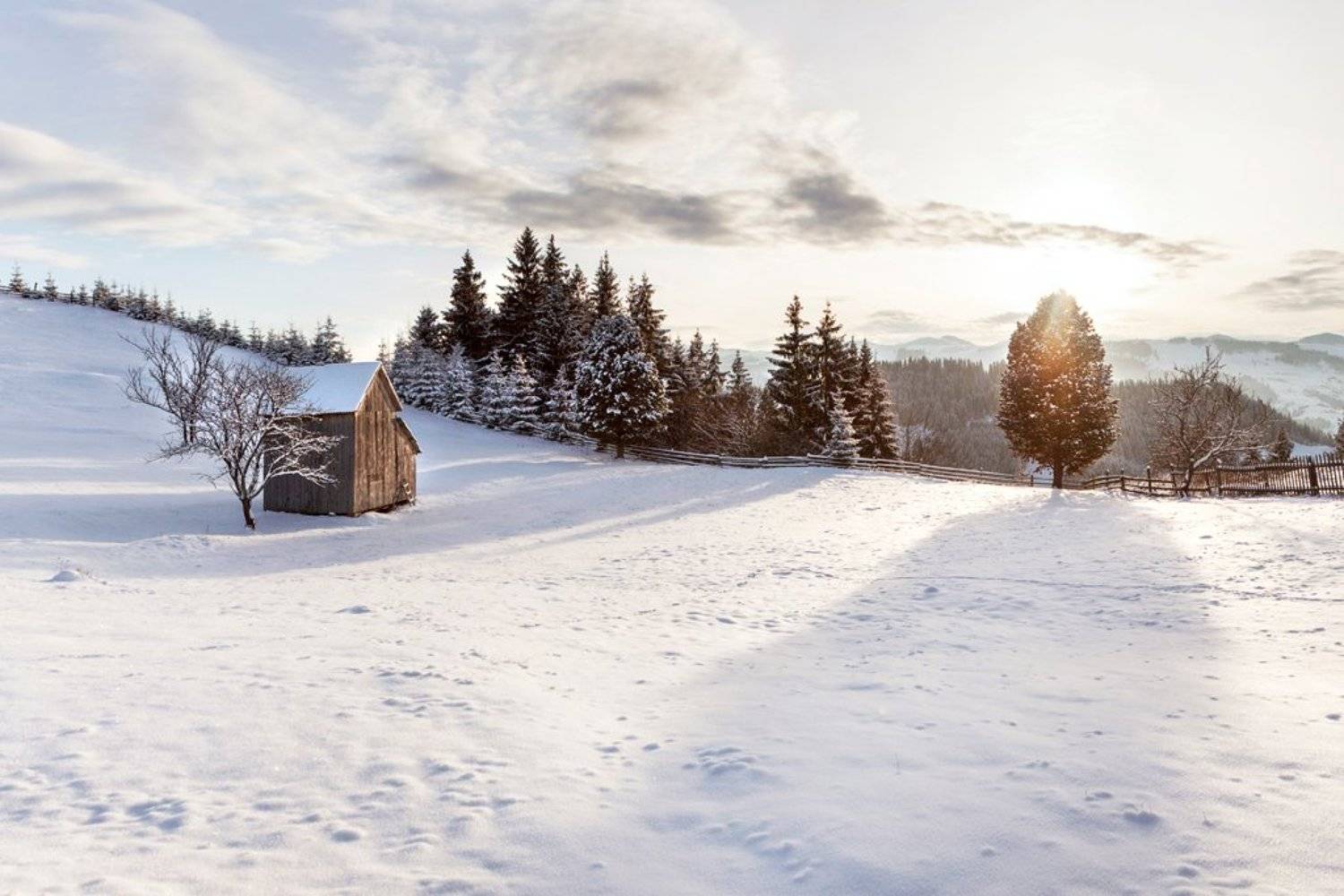 вечер, горы, дерево, закат, карпаты, лес, солнце, тени, украина, хижина, Piligrim