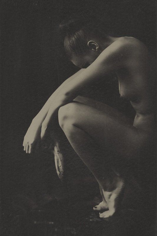 dead fish фото превью