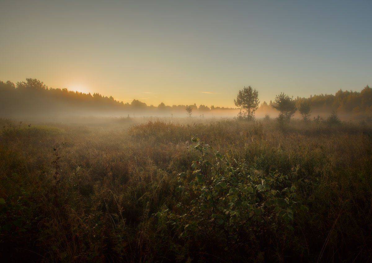 , Хохряков Николай