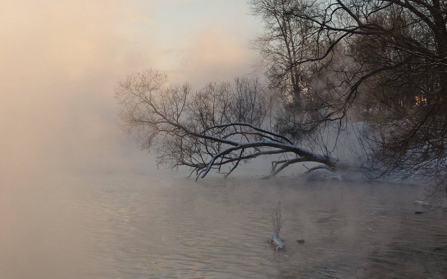 , Михаил Агеев