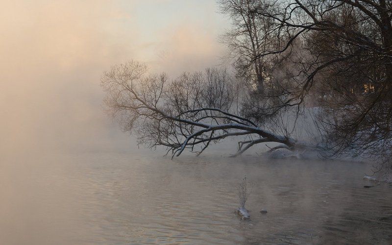 Не напрасно дули ветры фото превью