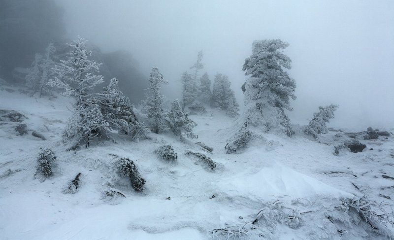 Белая мгла фото превью