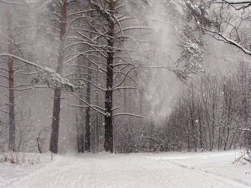 Снег кружится, летает, летает...