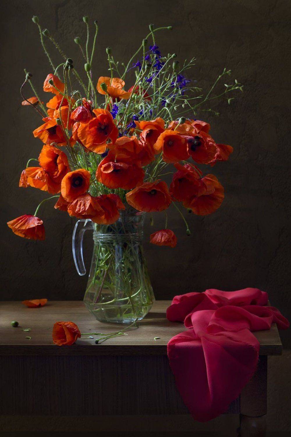 , Киливник Наталия(Metron)