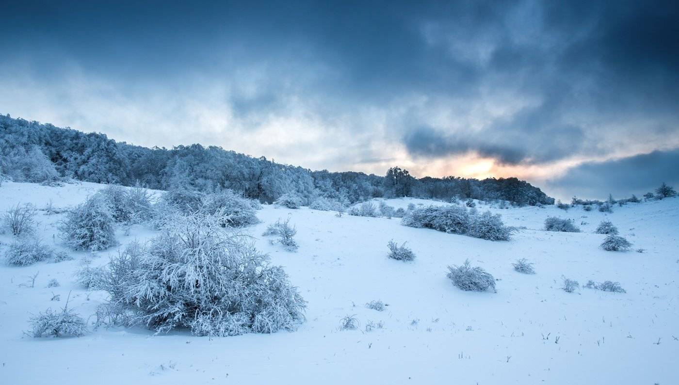 , Станислав Савицкий