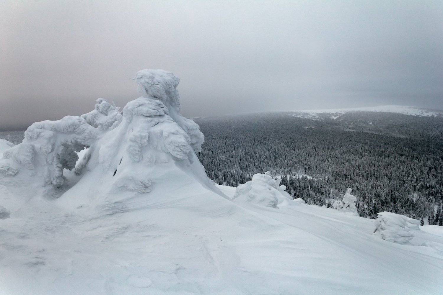 Пейзаж, Северный урал, Коровин Владимир