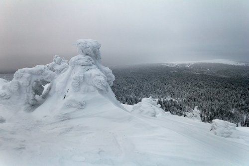 Царство Деда Мороза.