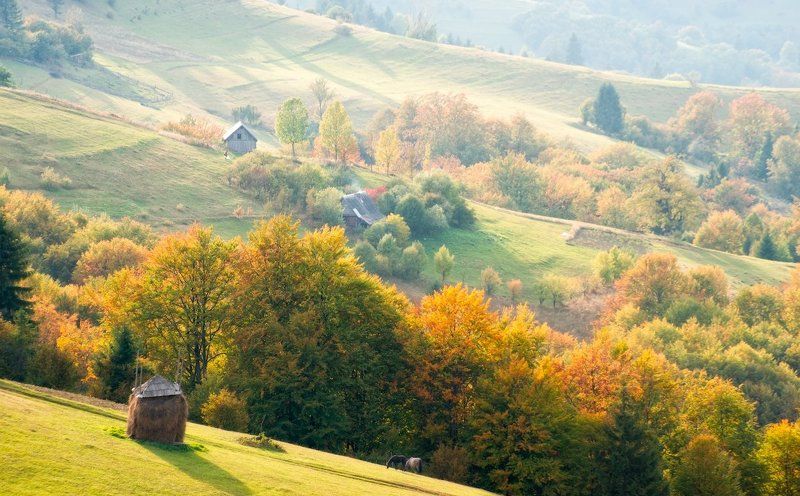 Вода, Горы, Дорога, Карпаты, Лес, Небо, Осень, Природа, Река, Туман Карпатские зарисовки фото превью