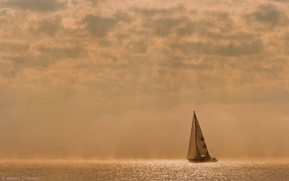 , Алексей Трофимов