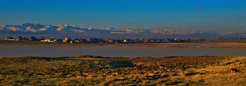 Январским утром...