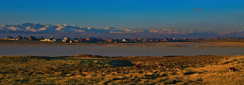 Central Asia region, Daybreak, Pastoral, Sunrise, Winter, Деревня, Жёлтый, Зима, Кош-Агач, Пастораль, Рассвет, Чуйская степь Январским утром... фото превью
