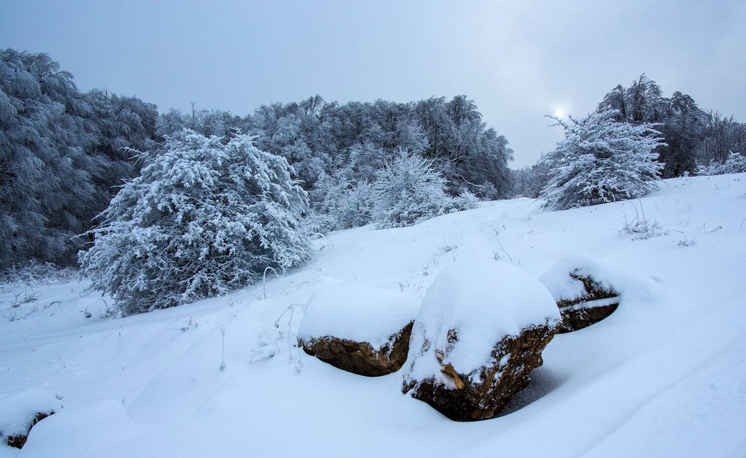 , Станислав Савицкий