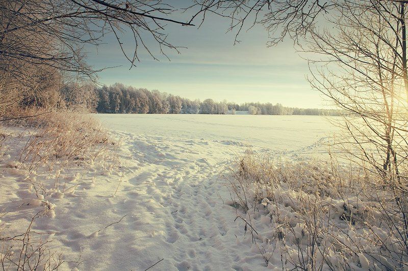 Обрамление для озера фото превью
