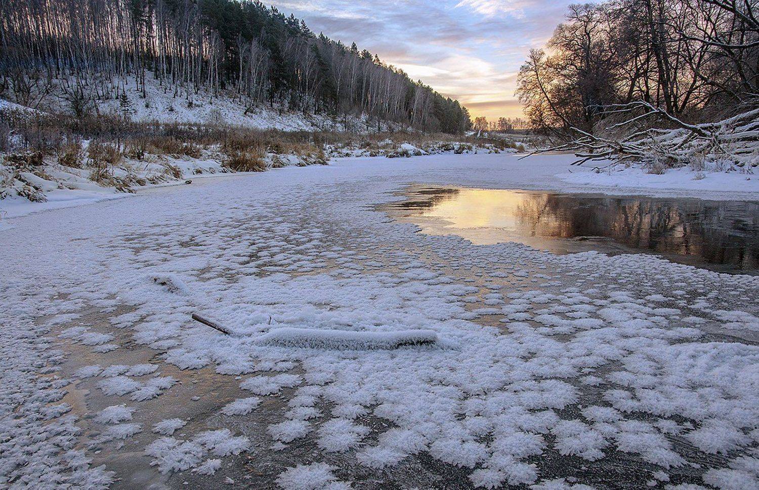 , Анатолий Зверев