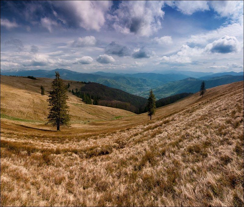 І І І фото превью