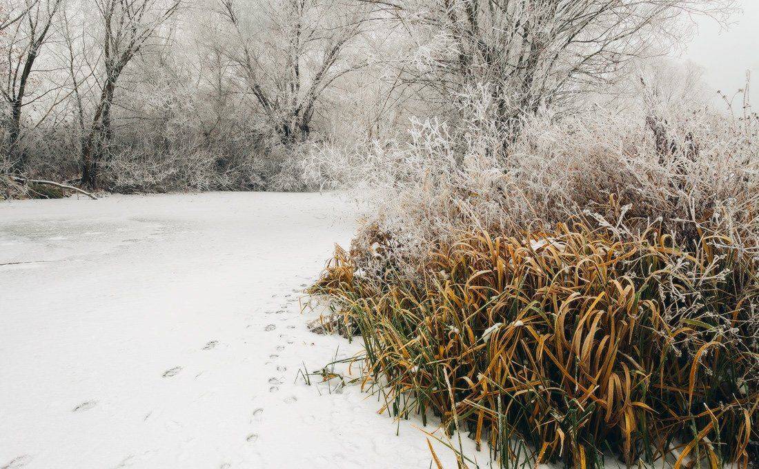 , Ярослав Тюрменко (Jaremi)