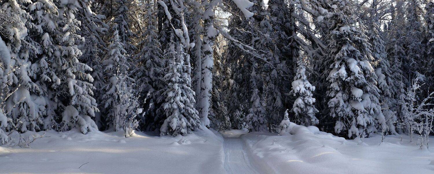 , Владимир Ляпин