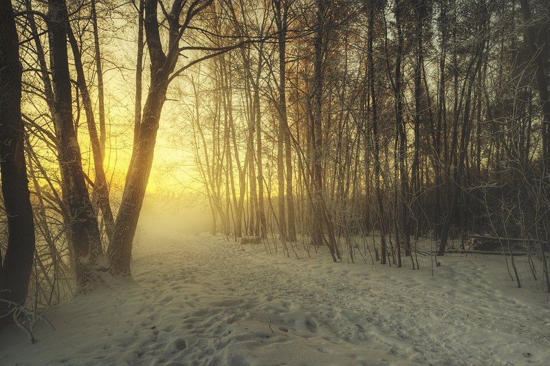 Зима, Лес, Пар, Пейзаж, Подмосковье, Природа, Река, Россия, Туман Winter Story фото превью