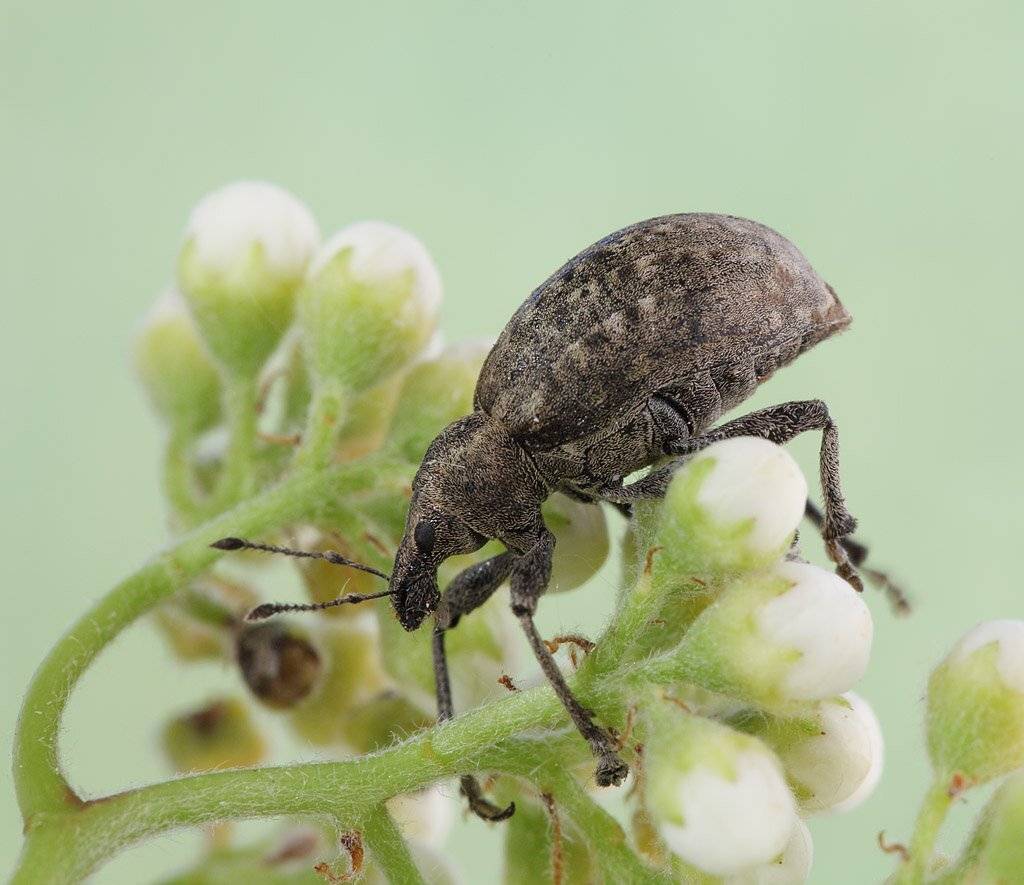 , Сергей Таланов