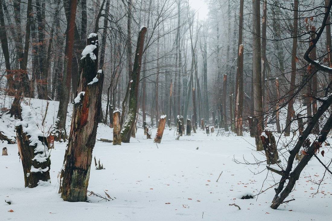 , Ярослав Тюрменко (Jaremi)