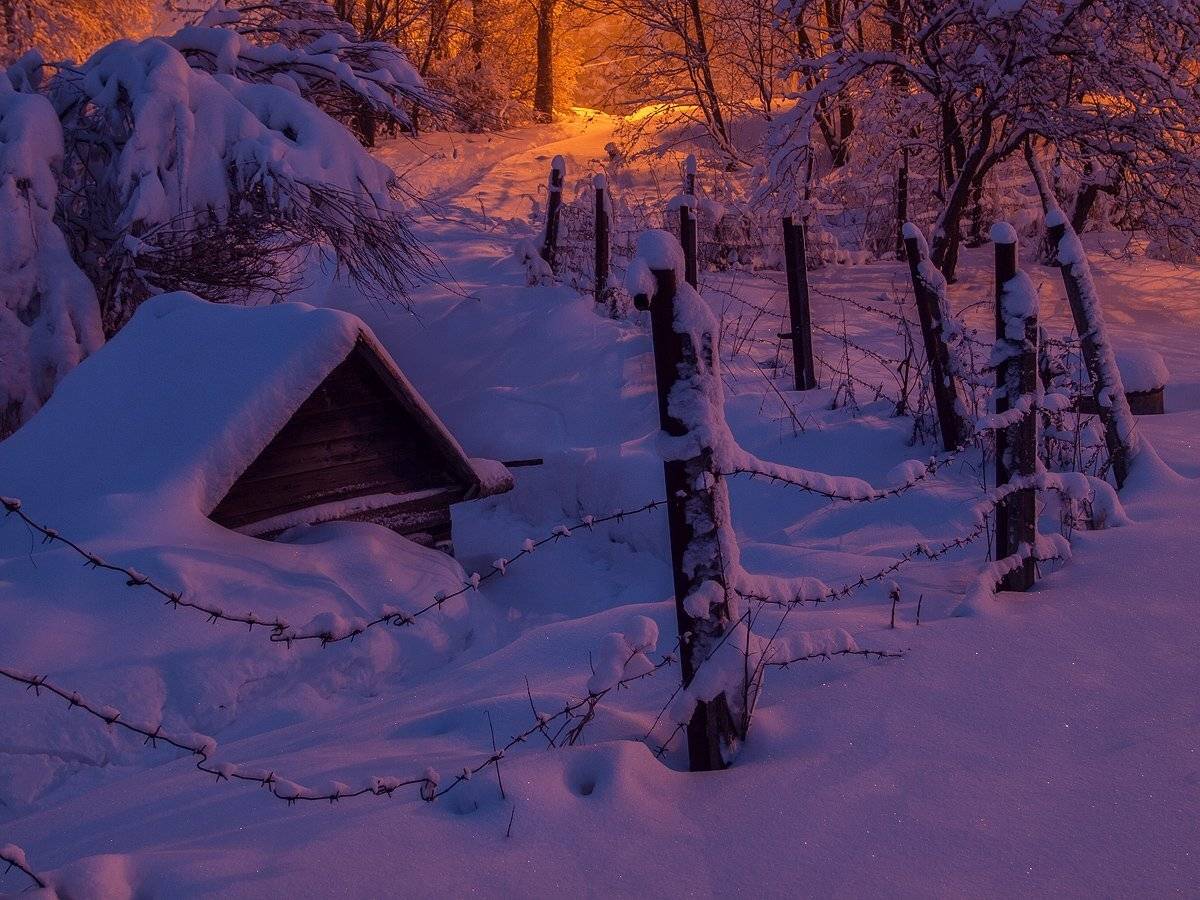 , Владимир Перепечаев