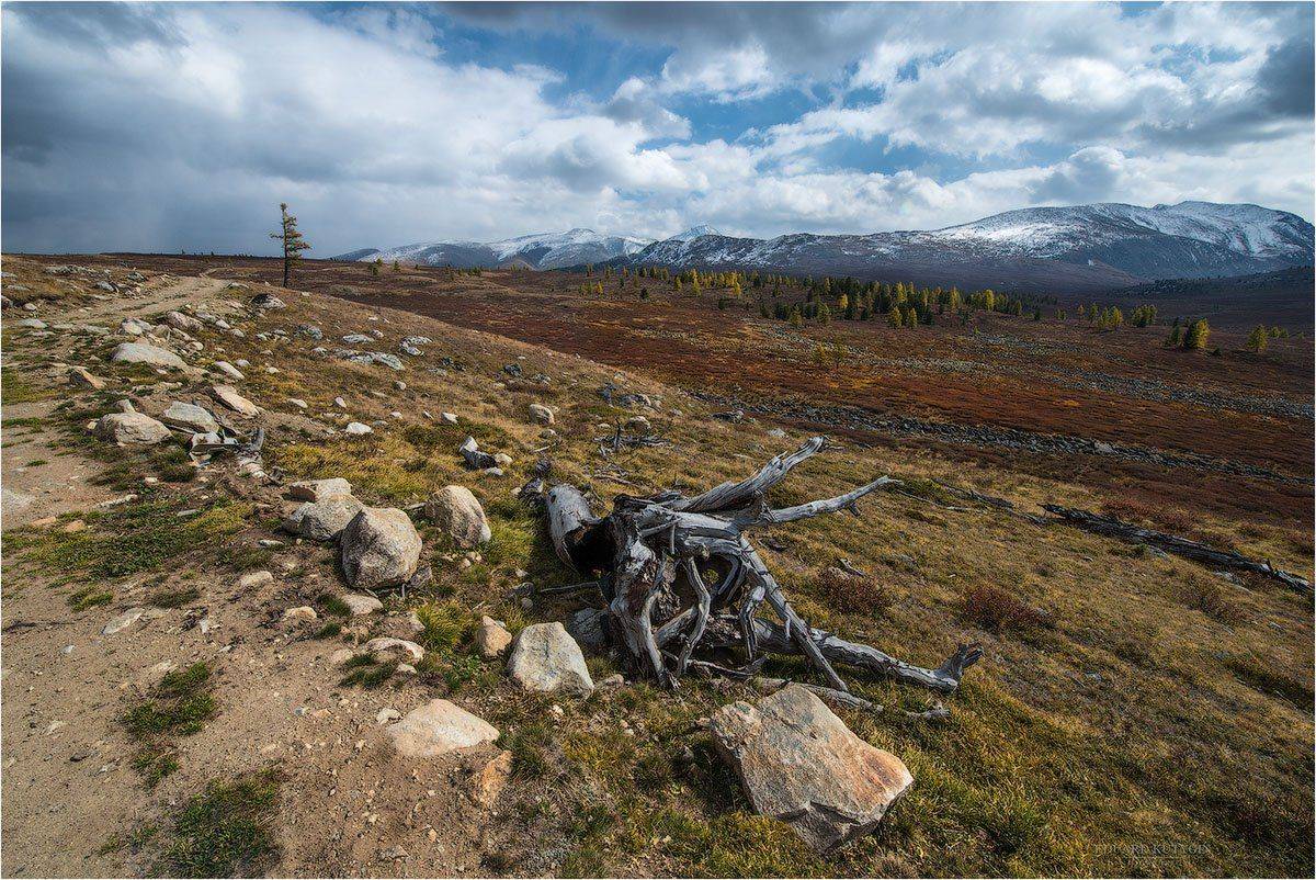 , Кутыгин Эдуард