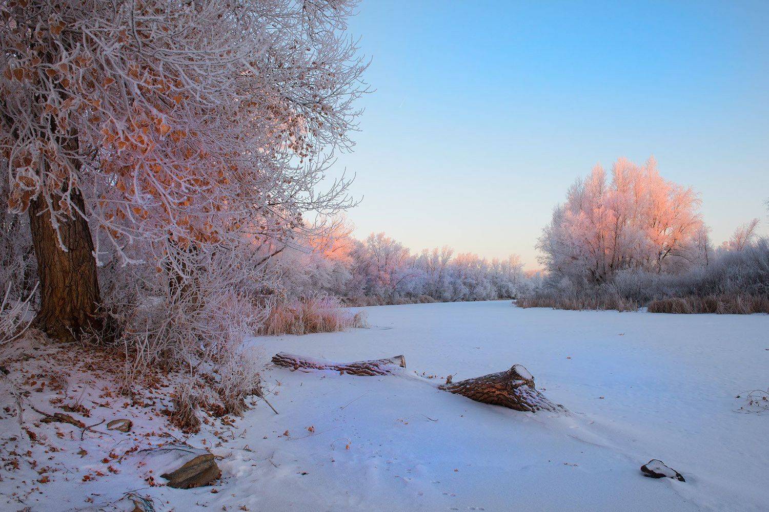 , Орлов Михаил