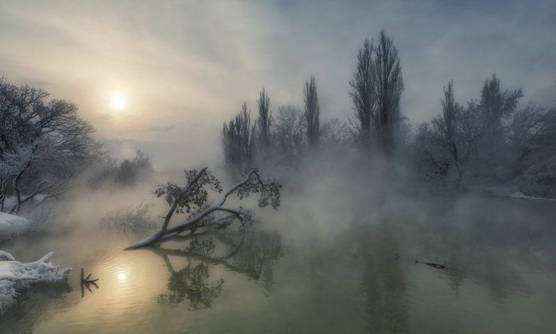 Однажды утром фото превью
