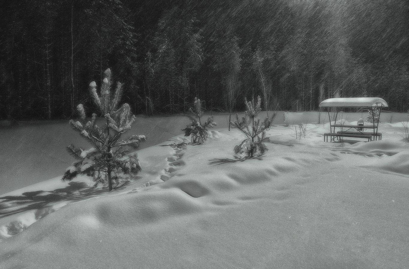 , Марина Брыдня