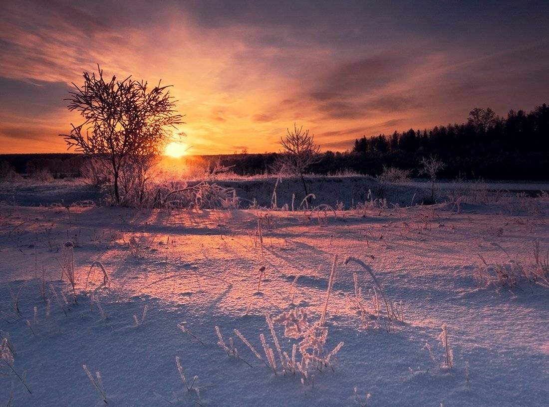 , Николай Морский