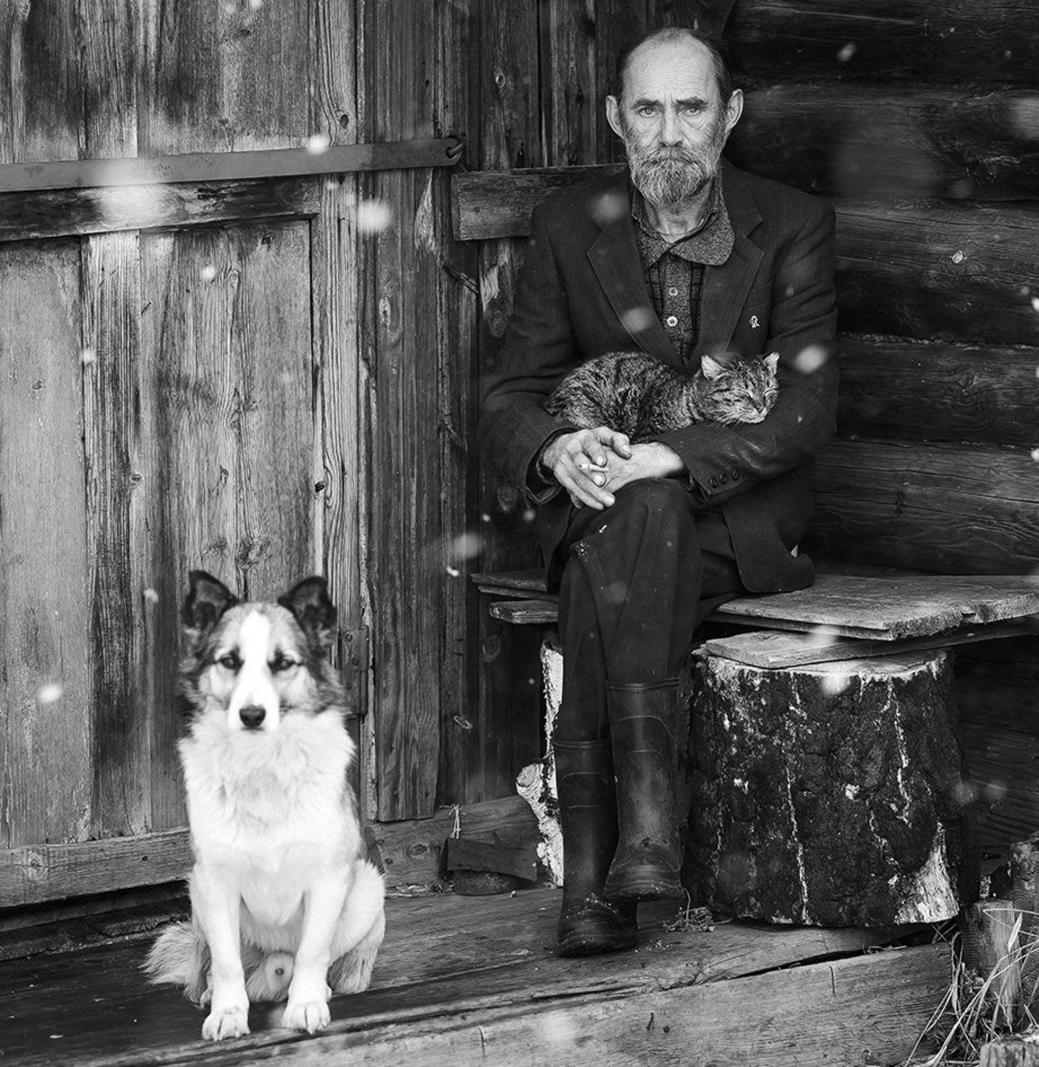 , Андрей Хитайленко