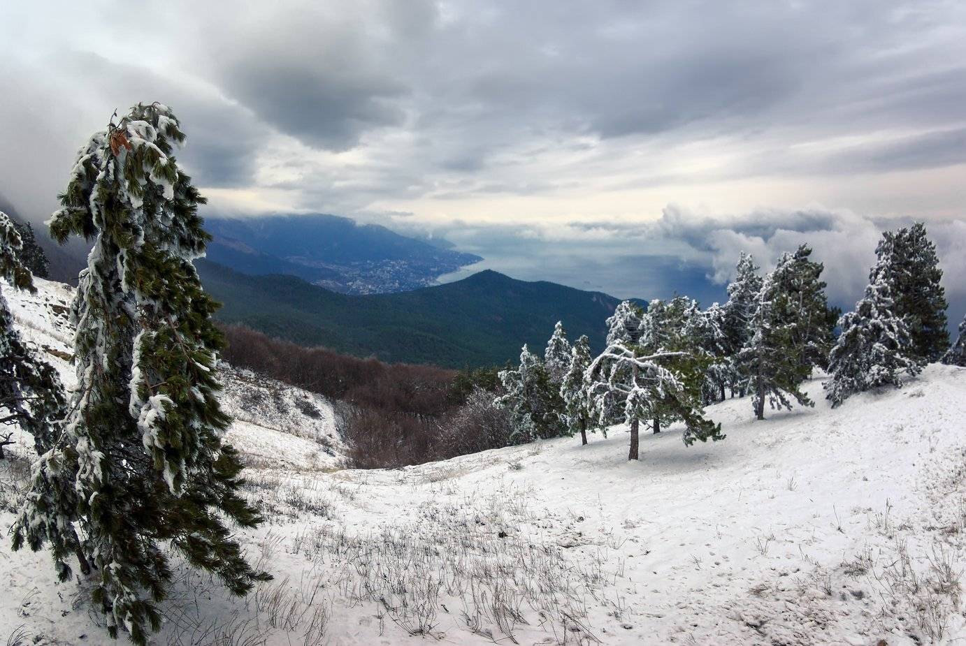 , Игорь Мелекесцев