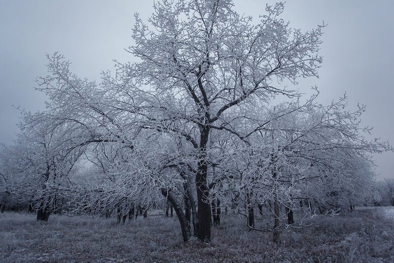 * фото превью
