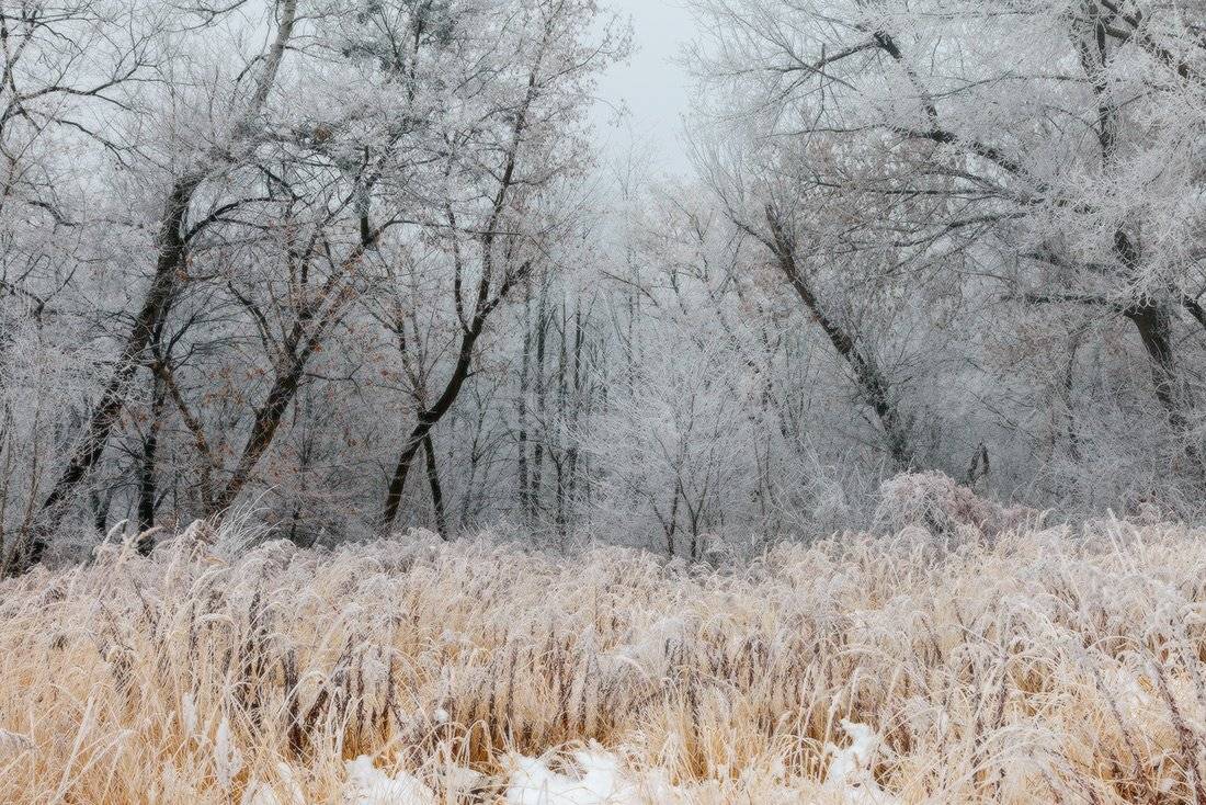 , Ярослав Тюрменко (Jaremi)