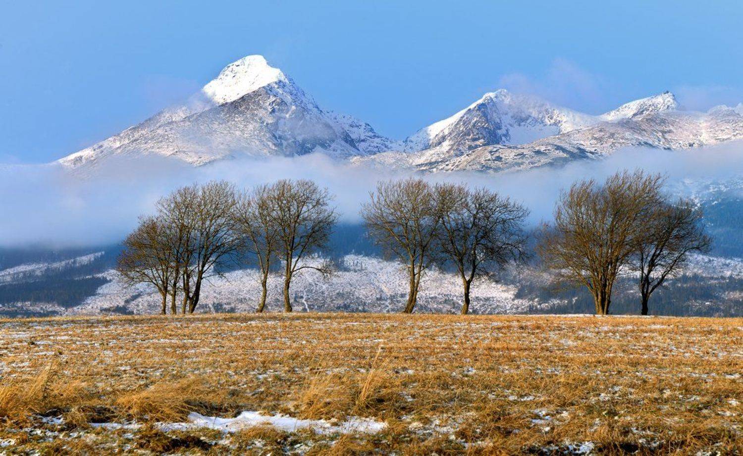 , Эдуард Гордеев
