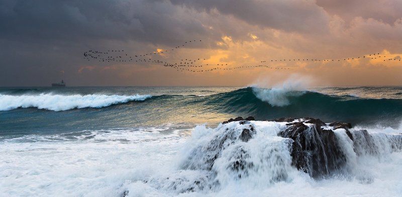 caesarea Caesarea breath фото превью