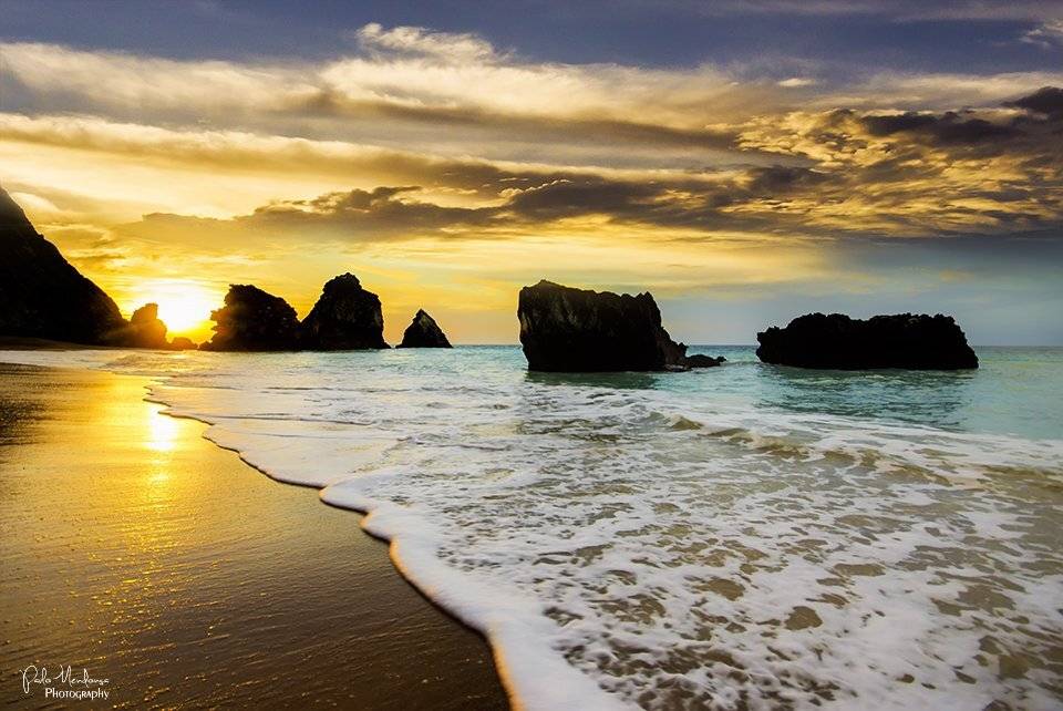 , Paulo Mendon&ccedil;a