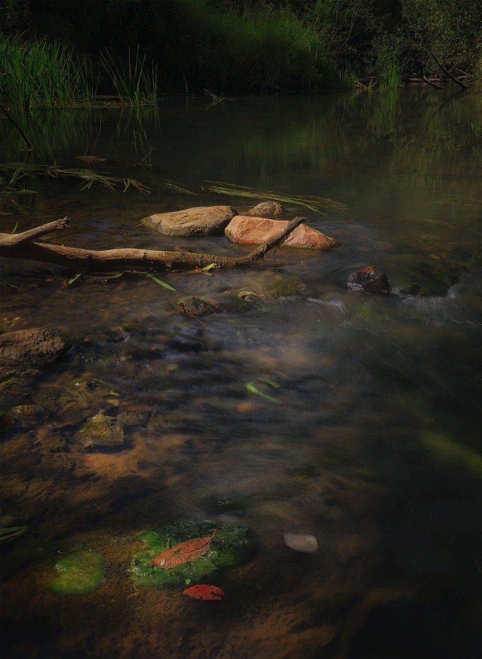 природа, Алексей Никонов